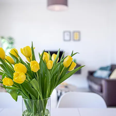 San Frediano Jewel * Firenze